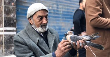 طائر السلام.. حكاية "شرف الدين" مع تربية الحمام.. ورث الهواية منذ السادسة من عمره.. عشقه للحمام دفعه لاقتناء جميع السلالات.. يحرص على الذهاب لسوق المنصورة للبيع والشراء.. ويؤكد: حب الحمام غية وهذه أغلى "حمامة"