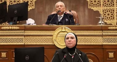 وزيرة التجارة أمام "مجلس الشيوخ": 100إجراء لتحفيز الاستثمار بقطاع الصناعة وتعزيز الصادرات.. الصعيد له النصيب الأكبر من المجمعات الصناعية.. نيفين جامع: انتهاء حصر الأراضى المخصصة للمستثمرين والسحب من غير الجادين