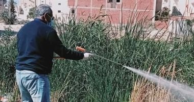 صحة شمال سيناء تنفذ حملة تطهير أماكن تكاثر يرقات البعوض فى أحياء العريش