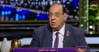 طلعت عبد القوى: المجتمع الأهلى لاعب رئيسى في القضية السكانية