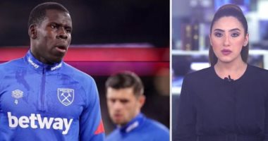 عقوبات على لاعب وست هام بسبب تعذيبه لقطته.. فيديو