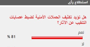 81 % من القراء يطالبون بتكثيف الحملات الأمنية لضبط مافيا التنقيب عن الآثار