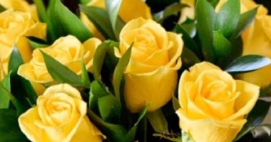 أنواع زهور تنذر بنهاية العلاقة العاطفية.. الأصفر بيقولك أنت فى "الفريندزون"