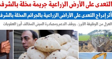 جريمة مخلة بالشرف.. عقوبات التعدى على الأراضى الزراعية.. نقلا عن برلمانى