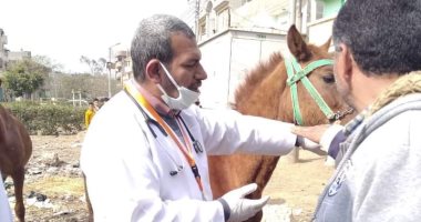 بيطرى دمياط ينظم قافلة مجانية فى قرية سيف الدين بالزرقا.. صور 