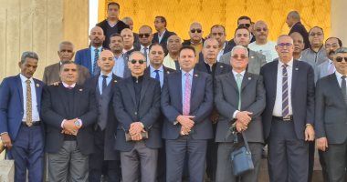 وفد مجلس النواب يلتقط صورا تذكارية أمام رمز الصداقة المصرية السوفيتية بأسوان ..صور