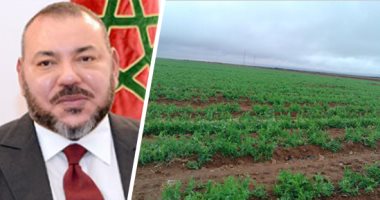 أسوأ موجة جفاف تهدد المغرب منذ 30 عامًا.. 64% عجزا فى الأمطار وتراجع بنسب ملء السدود.. والمزارعون يعيشون حالة من الترقب.. والملك محمد السادس يوجه باتخاذ تدابير المواجهة.. والمساجد تقيم صلاة الاستسقاء