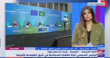 المجلس المصرى للشئون الإفريقية: كلمة الرئيس السيسى ستتناول تحديات القارة  