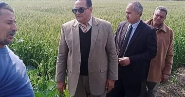 وكيل وزارة الزراعة بدمياط: زراعة 2000 فدان قمح زيادة عن الموسم السابق