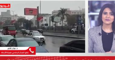 الأرصاد تكشف تفاصيل موجة الطقس السيئ.. فيديو