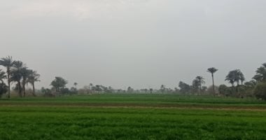 أمن بنى سويف يكثف جهوده لكشف ملابسات العثور على جثة شاب بأم الجنازير
