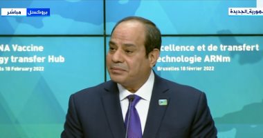 الرئيس السيسي: القمة الأفريقية الأوروبية انعكاس حقيقى لدور الشراكة الدولية