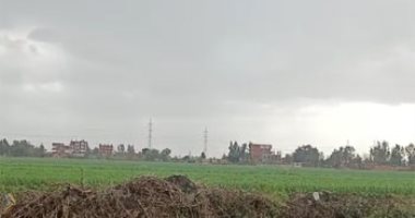 الطقس الآن.. أمطار غزيرة تضرب محافظة المنوفية والمحافظ يعلن الطوارئ.. لايف