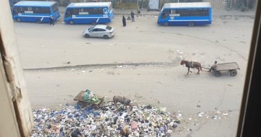 شكوى من تراكم القمامة فى الشارع الجديد بالقليوبية.. والمحافظة ترد