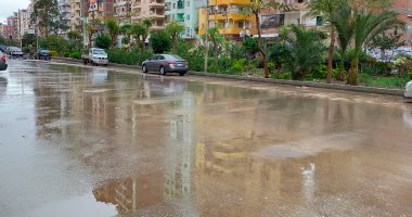بث مباشر.. أمطار رعدية غزيرة تضرب محافظة الغربية