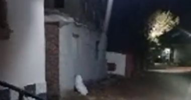 "ضرب مراته لحد ما ماتت".. القبض على زوج متهم بالتسبب فى وفاة زوجته بالشرقية (فيديو)