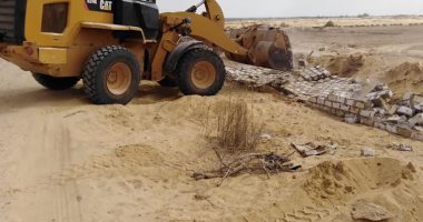 إزالة 34 حالة تعدٍ بمساحة 7368 مترا مربعا بالموجة 19 فى البحيرة