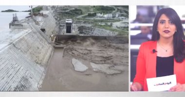 بيان جديد من وزارة الخارجية بشأن سد النهضة.. فيديو