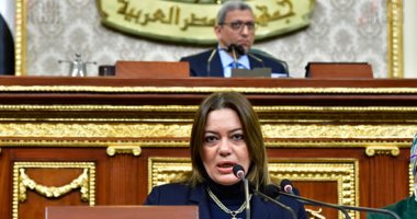 طاقة النواب عن منحة تحسين كفاءة شبكة الكهرباء: تُعظم من دور الطاقة فى مصر