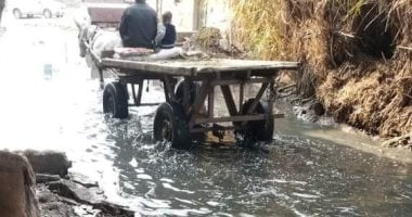 قارئ يناشد بتوصيل الصرف الصحى لقرية أبو وافي بالغربية.. ونائب رئيس المدينة يرد