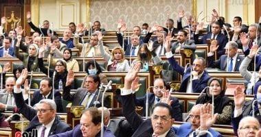 ما هى عقوبة التسبب فى عاهة لمسن أثناء رعايته؟ قانون حقوق المسنين يجيب