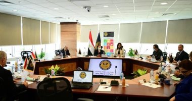 إدراج أسر المصريين العاملين بالخارج ضمن الفئات المستفيدة من وثيقة التأمين