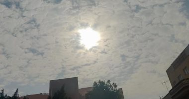 بعد موجة الطقس السيئ.. تراجع الشبورة وتحسن درجات الحرارة بالشرقية.. لايف