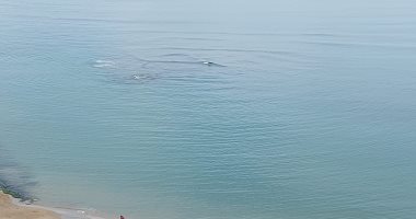 طقس الإسكندرية.. شبورة وغيوم تكسو السماء وتوقعات بسقوط أمطار.. لايف وصور
