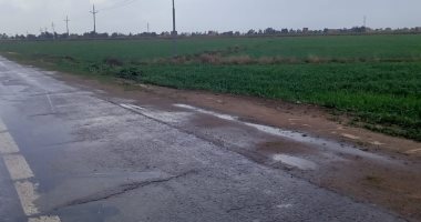 الطقس السيئ يضرب من جديد.. أمطار ورياح وتوقف حركة الملاحة بكفر الشيخ.. لايف