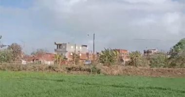 طقس المنوفية الآن.. أمطار خفيفة وبرودة فى الجو.. لايف
