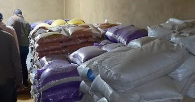 صحة الغربية: ضبط وإعدام 22 طن مواد غذائية و5500 عبوة عصائر فاسدة