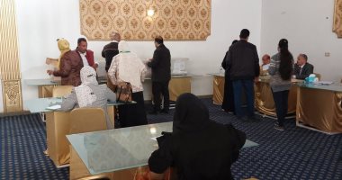 إقبال كبير على التصويت فى انتخابات المهندسين بمحافظة الأقصر.. فيديو