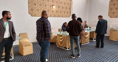 مهندسو الأقصر يتوافدون بكثافة على لجان تصويت انتخابات التجديد