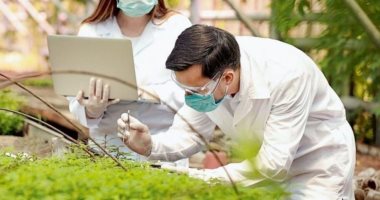 تعرف على أول دولة فى العالم تسمح باستخدام لقاح كورونا من النباتات
