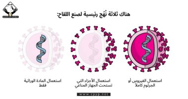 إنفوجراف لتنسيقية شباب الأحزاب يرصد مناهج صناعة اللقاح
