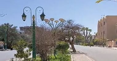 طقس الوادي الجديد.. شمس ساطعة وسماء صافية وانخفاض بدرجات الحرارة "لايف"