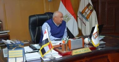 محافظ الوادى الجديد يبحث تنفيذ المنطقة اللوجستية عبر الفيديو كونفرانس
