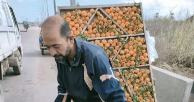  رفع 233 حالة إشغال طريق خلال حملات بالبحيرة 