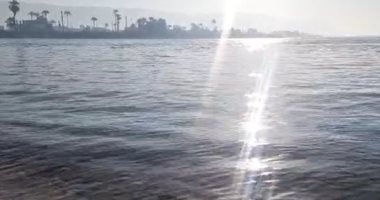طقس سوهاج الآن.. شبورة خفيفة على الطرق وأجواء دافئة "فيديو لايف"