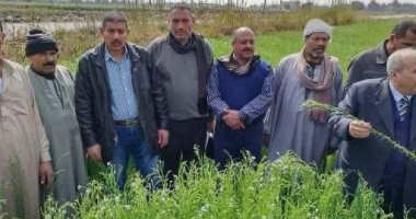 حقل إرشادى لمزارعى قريتى كراديس وأبو متنا بالشرقية للنهوض بمحصول الكتان