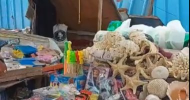 البحر مليان كنوز.. ساحة قلعة قايتباى سوق كبير لبيع وشراء القواقع والأصداف.. نجم البحر يمنع الحسد والحصان يجلب الرزق.. شباك الصيد القديمة للزواج والإنجاب.. وبائعون: الناس بتطلبها لحد دلوقتى.. صور