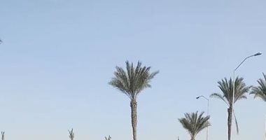 طقس المنوفية الآن.. جو معتدل وشمس ساطعة وسماء صافية.. بث مباشر