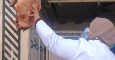بيطرى الشرقية يحرر 9 محاضر ويضبط 2 طن و774 كيلو مواد غذائية غير صالحة.. صور