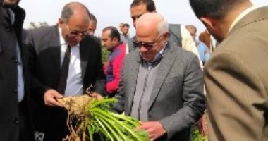 خير بلدنا.. اللواء عادل الغضبان يشهد حصاد "بنجر السكر" بشرق بورسعيد.. لايف وصور