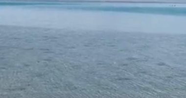 شواطئ شمال الغردقة.. هدوء ومتعة وحضور كبير للأجانب المقيمين "لايف"