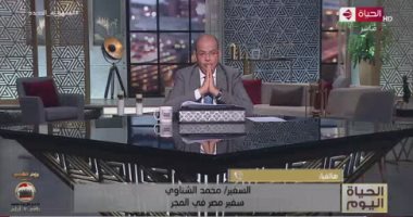 سفير مصر بالمجر: سكنَّا 68 مصريًا قادمًا من أوكرانيا بأماكن لائقة فى بودابست