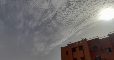 تحسن الأحوال الجوية بعد عاصفة ترابية أمس وعودة حركة البواخر  بأسوان