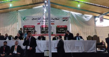إنطلاق المرحلة الثانية من انتخابات المهندسين بالإسكندرية.. صور