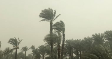 الأرصاد الجوية: نستعد للشتاء.. والتغير المناخي تسبب فى نوبات طقس جامحة