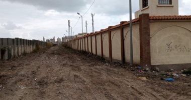 الإسكندرية ترفع المخلفات من أسفل كوبرى العوايد.. صور